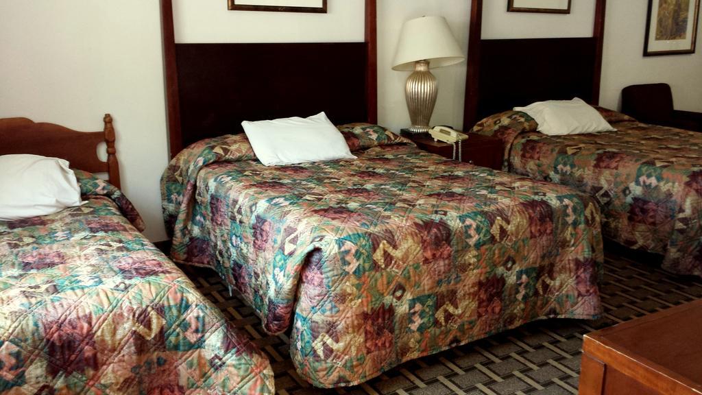 Executive Inn & Suites Lakeview Rom bilde